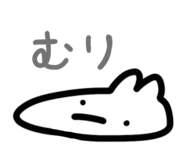 845846500