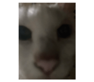 845846637
