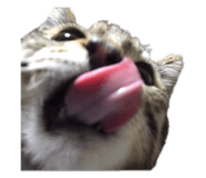 845846645