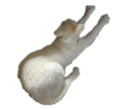 845846647