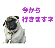 845846797
