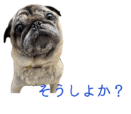 845846800