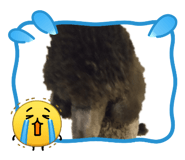 845847259