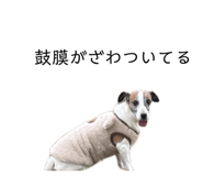 845847434