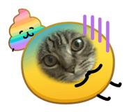 845847505