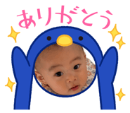 845847524