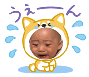 845847527