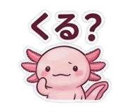 845847638