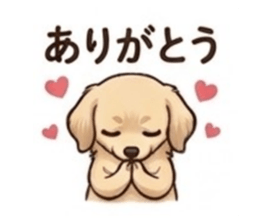 845847641