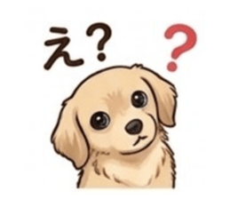 845847650
