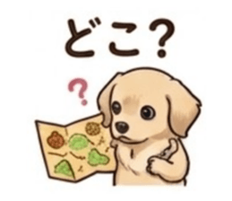 845847656
