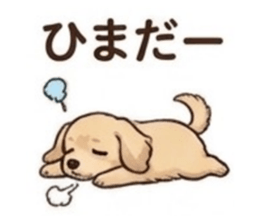 845847661