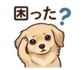 845847670
