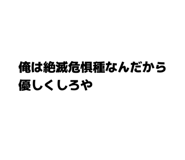 845847941