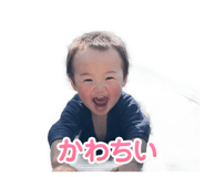 845847977