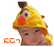 845848120