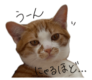 845848233
