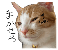 845848235