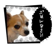 845848404