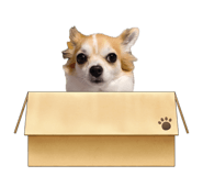 845848415