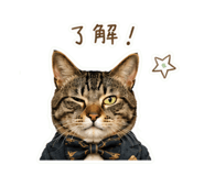 845848423