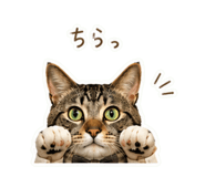 845848424