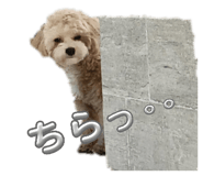 845848510