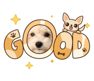 845848511