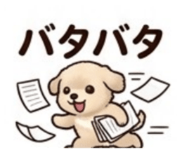 845848678