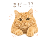 845849129