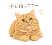 845849131