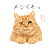 845849133