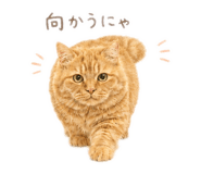 845849136