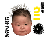 845849452