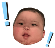 845849461
