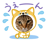 845849774