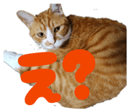 845849779