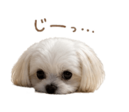 845850406