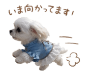 845850415