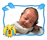 845850434