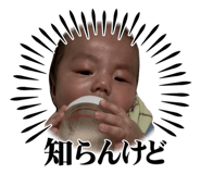 845850443