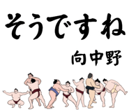 845853806