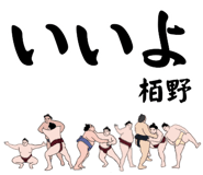 845854008