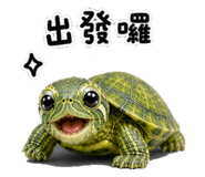 845856147