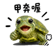 845856155