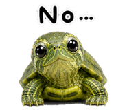 845856156