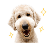 845856490