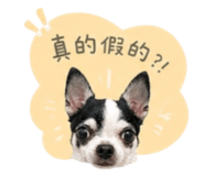 845857934