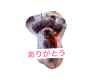 845860268