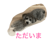 845860270